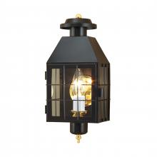 ELK Home Plus 1059-BL-CL - American Heritage 16.5'' High 1-Light Outdoor Sconce - Black