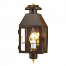 ELK Home Plus 1059-BR-CL - American Heritage 16.5'' High 1-Light Outdoor Sconce - Bronze