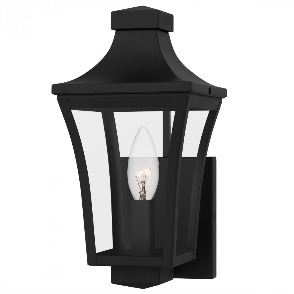 Quentin 1-Light Earth Black Outdoor Wall Lantern