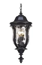 Revolution Lighting OH7323MBWG - 23" Outdoor Hanging Lantern