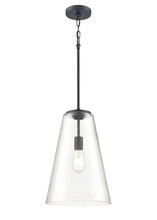 Revolution Lighting TAY-PL12BKSS - One Light Pendant