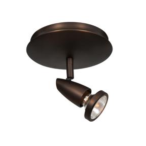 1 Light Adjustable LED Flush Mount