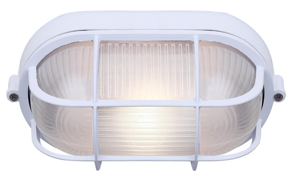 Marine 1 Light Outdoor Lantern, White Finish