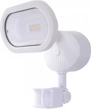 Security Lights