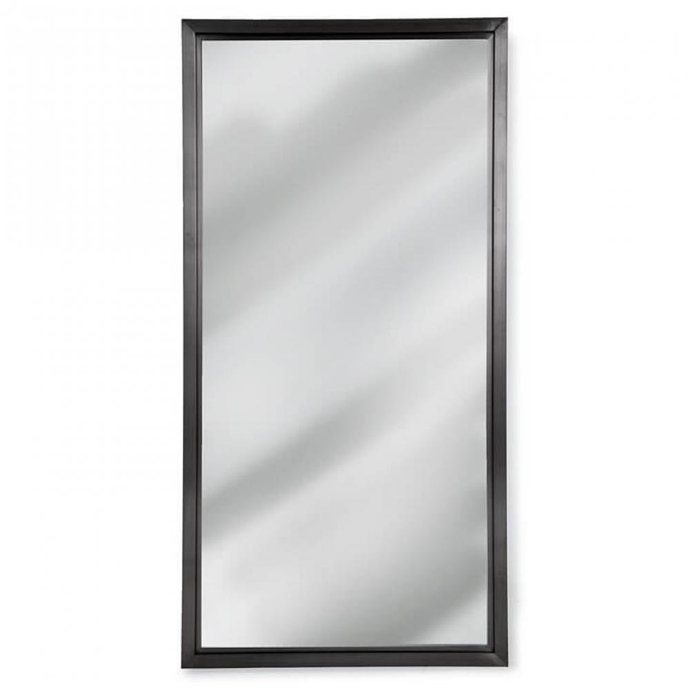 Regina Andrew Rectangle Mirror (Steel)