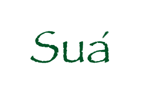 Sua International